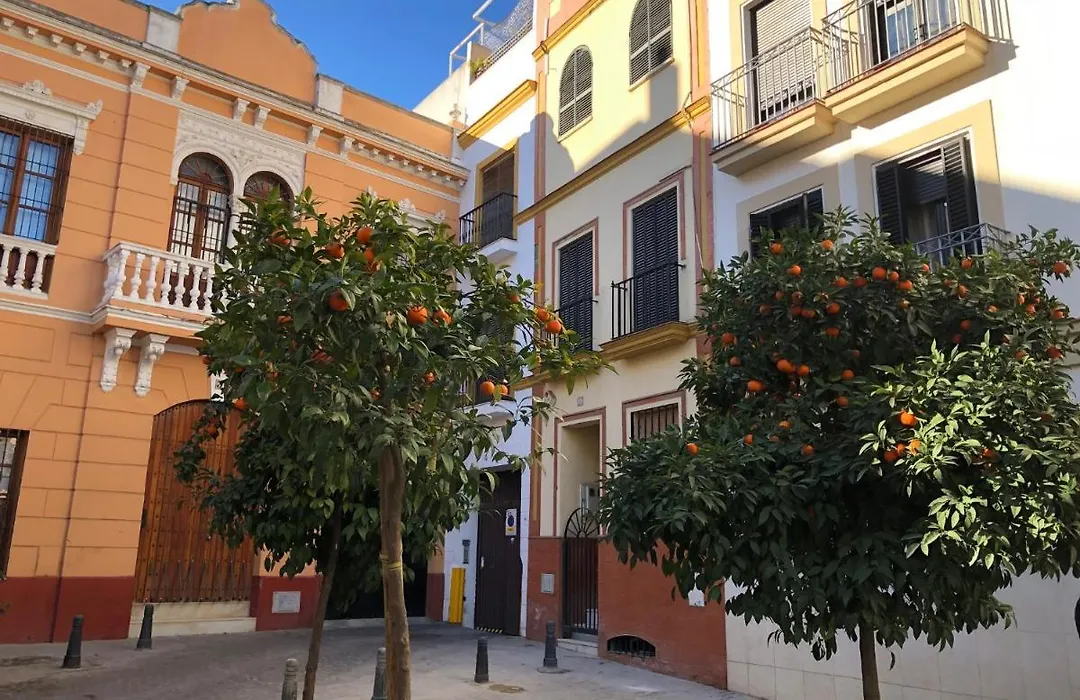 Unique House - Private Spa&Pool -Stayinseville-1