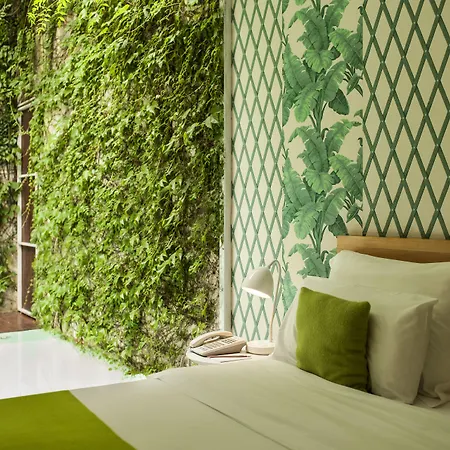 Home Hotel-2