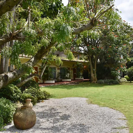 Casa Bugambilia, Un Pequeño Hotel en Tepoztlán-3
